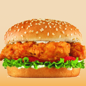 Butter Chicken Burger